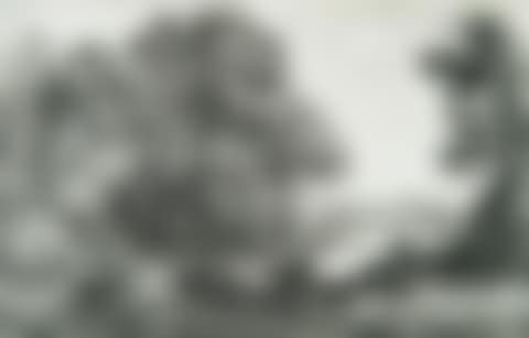 THE BOUVIER. (preview)