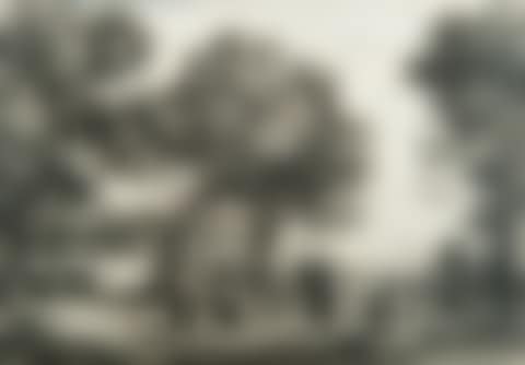 DANCING UNDER THE TREES (preview)