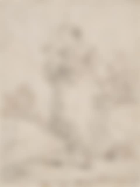 Costume study: "Donna dalla Sillandia" (preview)