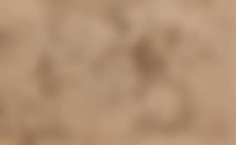 Adoration of the shepherds (preview)