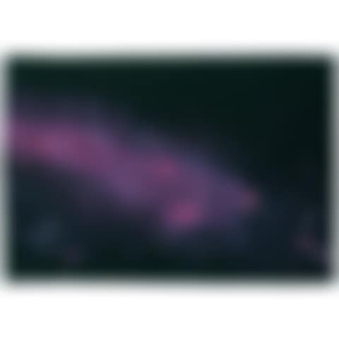 A "Milkyway" rug (preview)