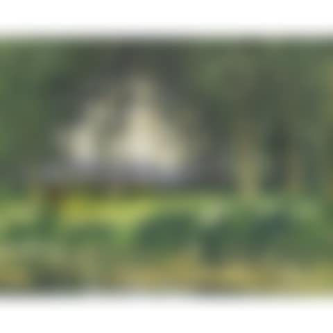 SOUS BOIS; SOUS BOIS (preview)