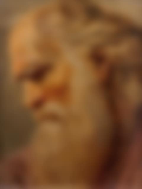 Head of a bearded man (preview)