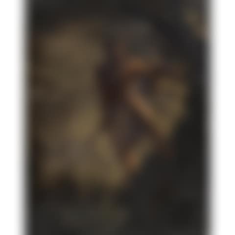 AN INDIAN (preview)