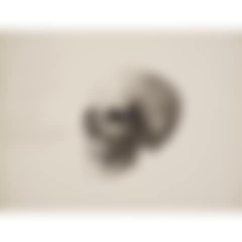 Skull study (preview)