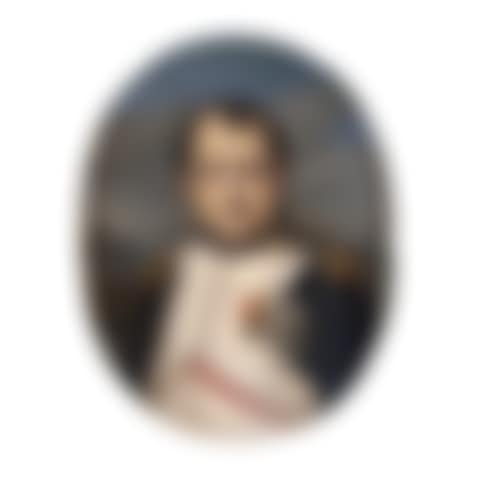 PORTRAIT OF NAPOLEON I (preview)