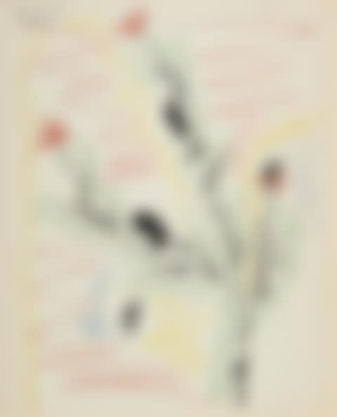 WOMAN AND WILDLIFE (preview)