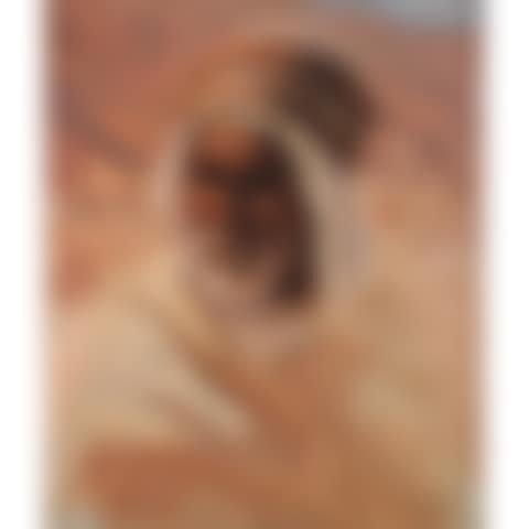 ORIENTAL PORTRAIT "ARAB"S HEAD" (preview)