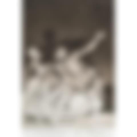 LES CAPRICES, plates 17, 35, 71. (preview)