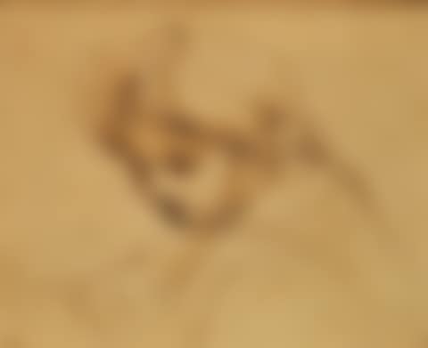 Portrait of a woman (preview)