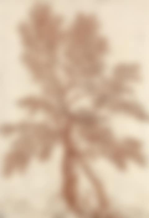 Blood Tree Study (preview)