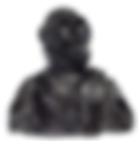 André Marie Jean Jacques Dupin (Dupin elder) (preview)