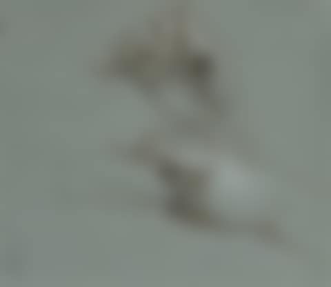 Study of the hands of a miniaturist (preview)