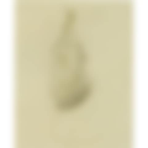 Fruit; FRUIT (preview)
