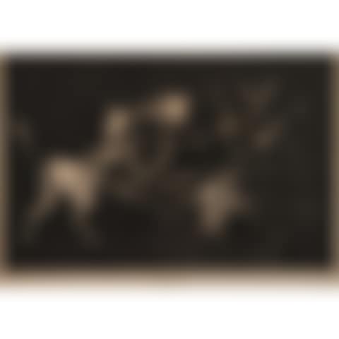 LLUVIA DE TOROS. Board of Proverbs. (preview)