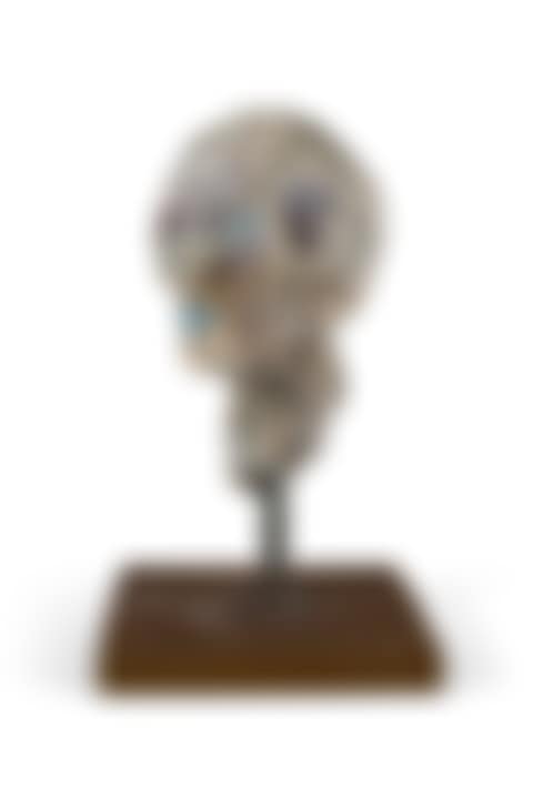Head (preview)