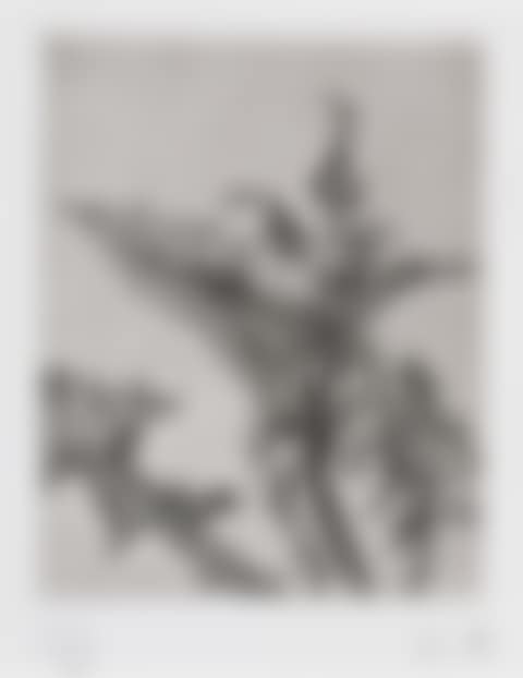 Thistle (preview)