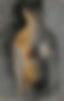 Nu (preview)