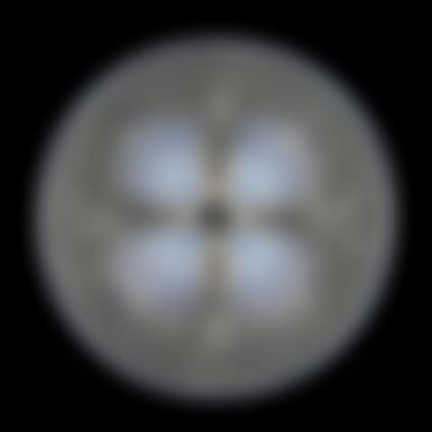 PLATE "COQUILLES NO. 1" (preview)