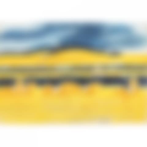 COURSES À FÈRE EN TARDENOIS (preview)