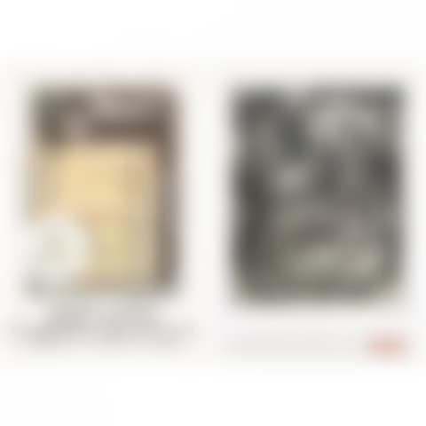 POSTER SET OF 2 (1)SOUVENIR (POSTER) (THE PHILADELPHIA (2)FIGURE 2 (THE MINNEAPOLIS INSTITUTE OF ARTS POSTER) (preview)