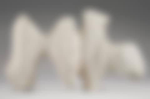 Animal Form (preview)