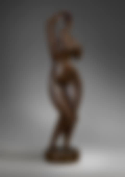 Woman Combing Her Hair (preview)