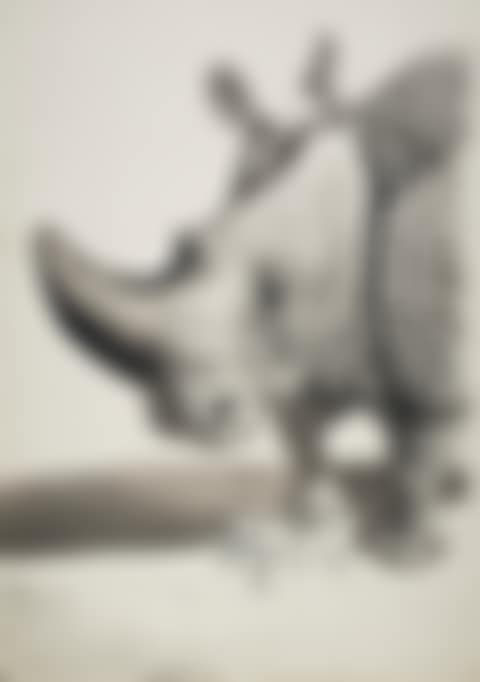 Rhinocéros (recto); Etude pour Rhinocéros (verso) (preview)