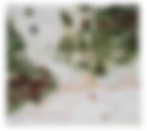 Doig, P.; Ski Jacket (preview)