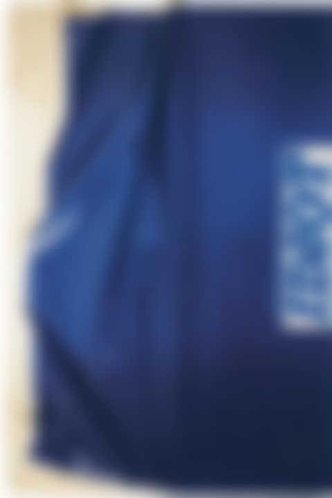 Blue Idiot (preview)