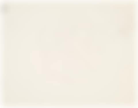 Etude de champignons (recto and verso) (preview)