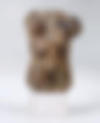 Torso di femina (preview)