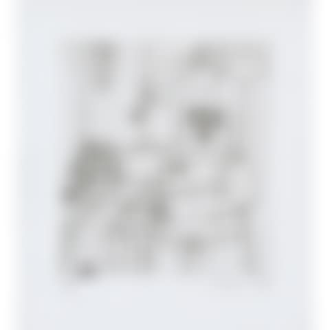 Untitled XIV, from The Valley (Littmann p. 141) (preview)
