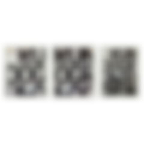Run Dog Run (3 works) (preview)
