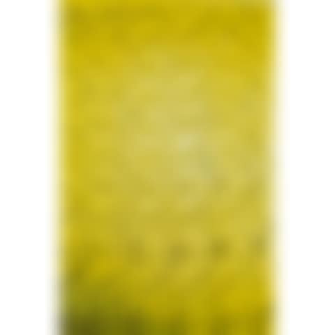 Untitled (Kölnischer Kunstverein) (preview)