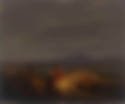 Nocturnal campfire on the beach (preview)