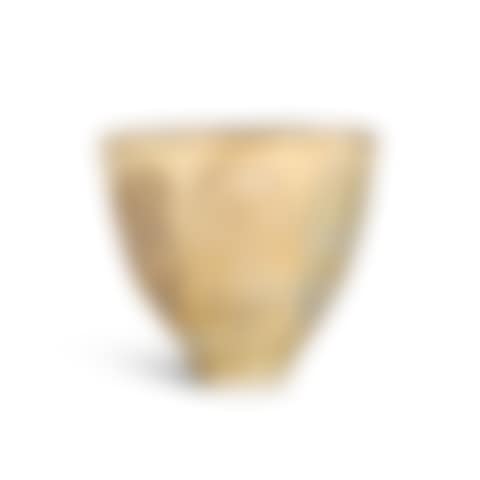 Vase with Leaf Design (preview)
