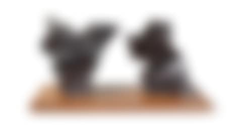 Taichi Series (preview)