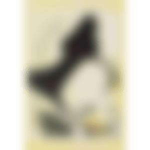Angry Face, “In the Floating World” (No. YNF2569); Studio No. E-1999-012 (preview)