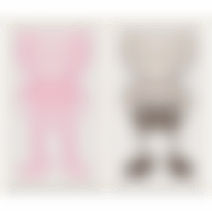COMPANION (Pink, Gray) (preview)