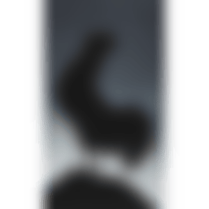 ROOSTER (Engberg 159) (preview)