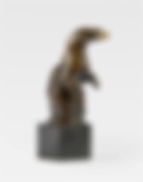 Fischotter (preview)