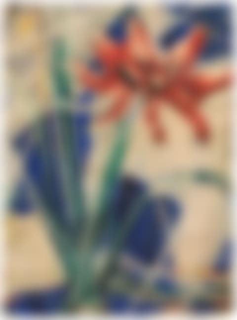 Amaryllis (preview)
