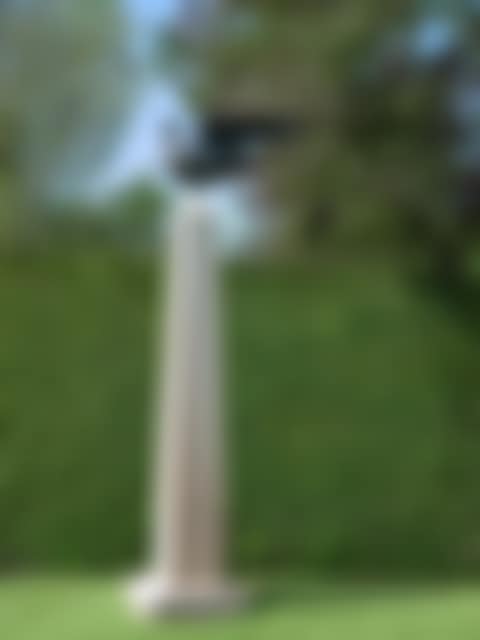 Monument à l"oiseau (preview)