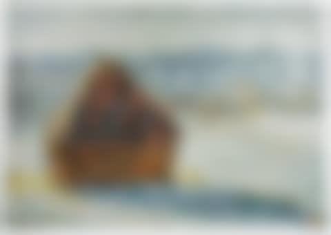 ”Haystack #1, After Monet (from Pictures of Color)” (preview)