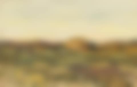 Dünenlandschaft (preview)