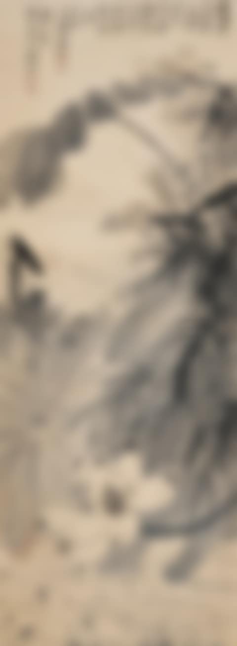 Lotus in Rain (preview)