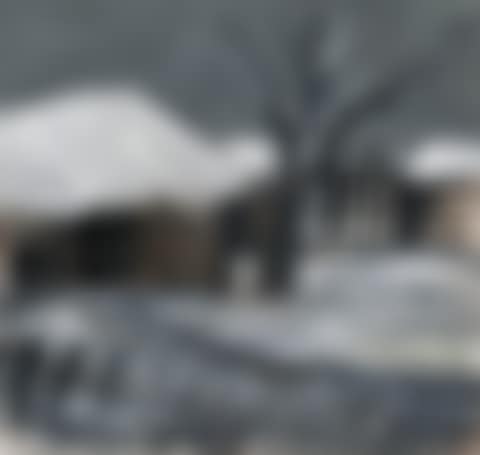 Snowscape (preview)
