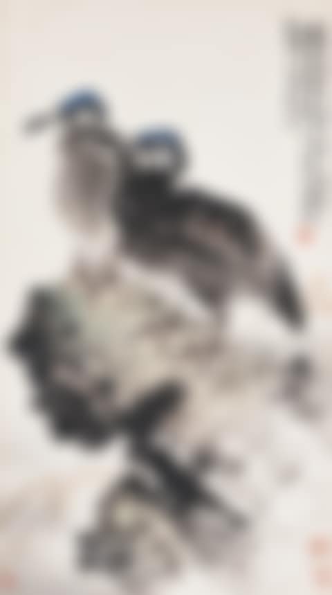 Twin Cormorants (preview)