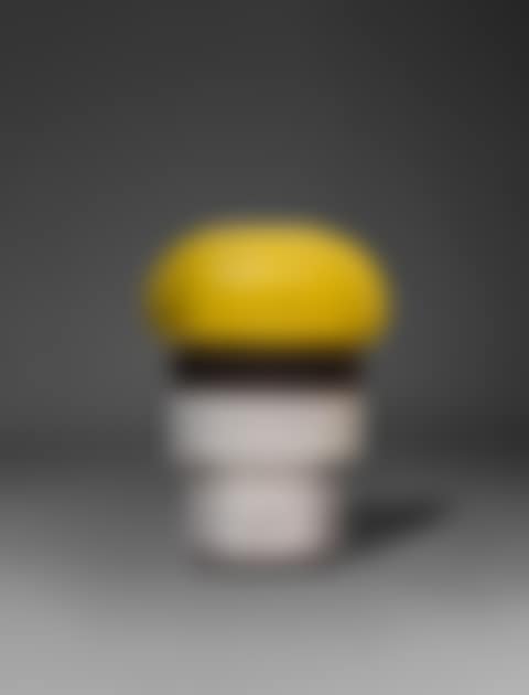 Vase (preview)